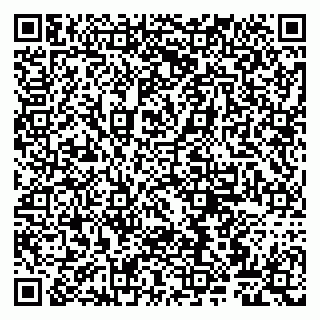 vCard 79807260207