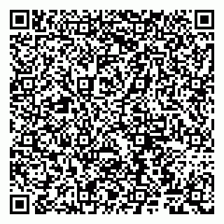 vCard 79807260208