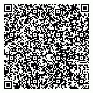 vCard 79807260209