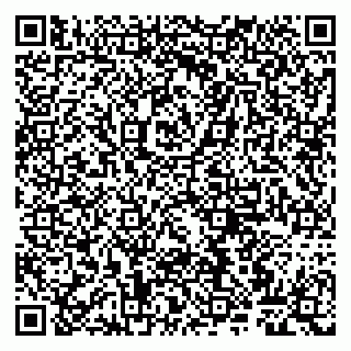 vCard 79807260210