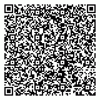 vCard 79807260211