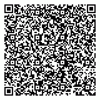 vCard 79807260213