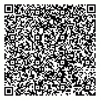 vCard 79807260219