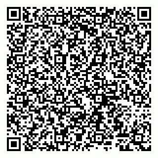 vCard 79807260221
