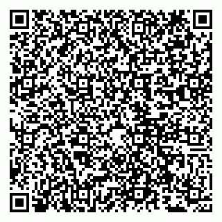 vCard 79807260223