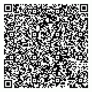 vCard 79807260272
