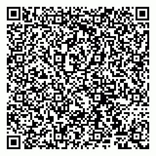 vCard 79807260285