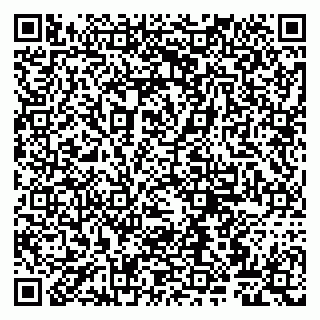 vCard 79807260288