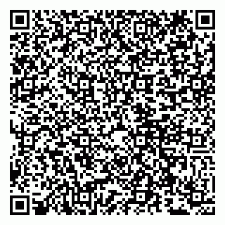 vCard 79807260295