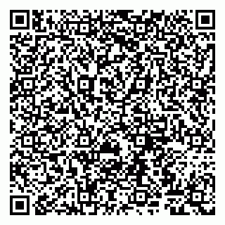 vCard 79807260300