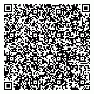 vCard 79807260304