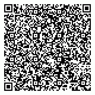 vCard 79807260307