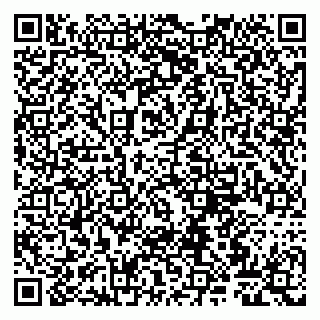vCard 79807260313