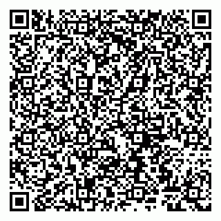 vCard 79807260314