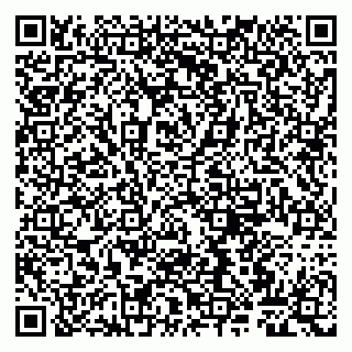 vCard 79807260315
