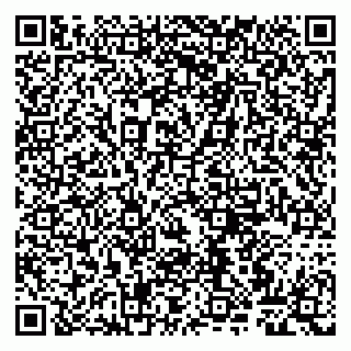 vCard 79807260317