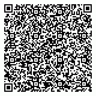 vCard 79807260318