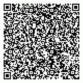 vCard 79807260320