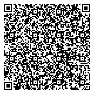 vCard 79807260327