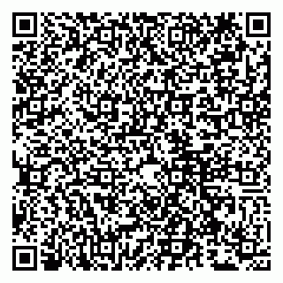 vCard 79807260329