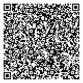 vCard 79807260330