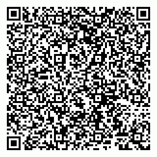 vCard 79807260331