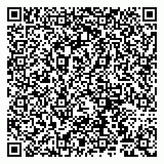 vCard 79807260335