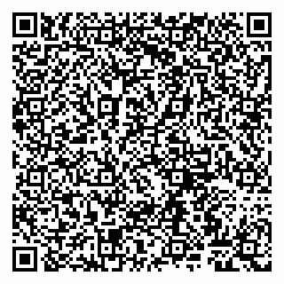 vCard 79807260339
