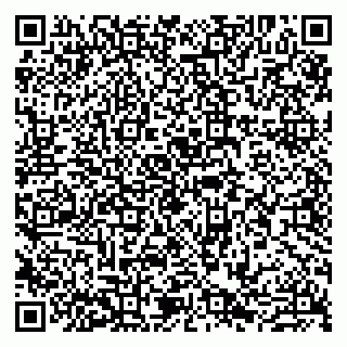 vCard 79807260345