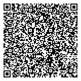 vCard 79807260350