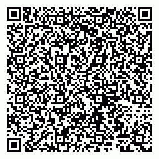vCard 79807260377