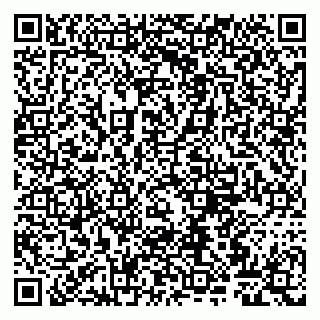 vCard 79807260381