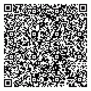 vCard 79807260385