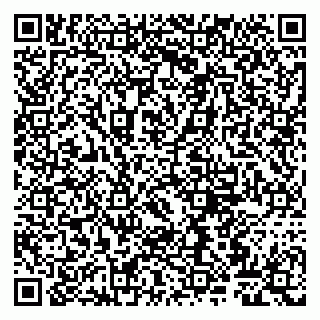 vCard 79807260387