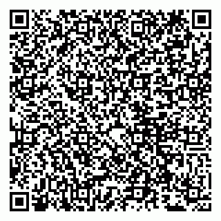 vCard 79807260399