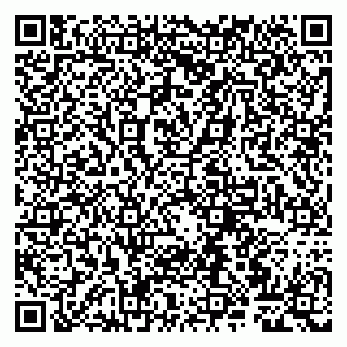 vCard 79807260400