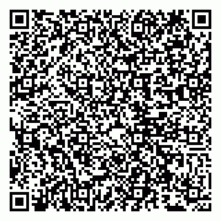 vCard 79807260403