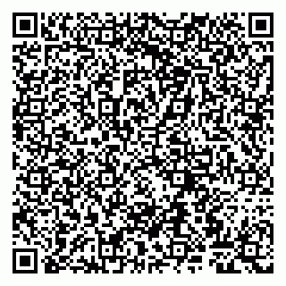 vCard 79807260409