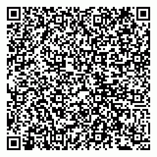vCard 79807260410