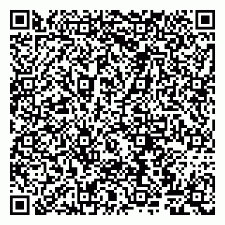 vCard 79807260411