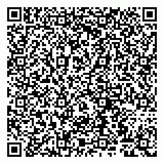 vCard 79807260412
