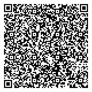 vCard 79807260413