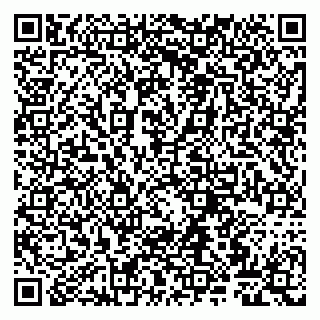 vCard 79807260417