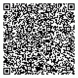vCard 79807260485