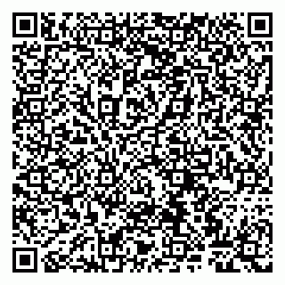 vCard 79807260495