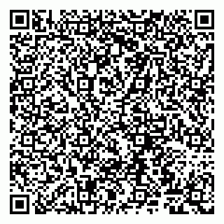 vCard 79807260531