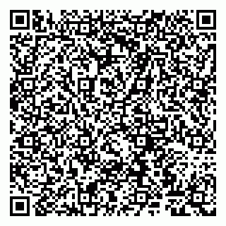 vCard 79807260537