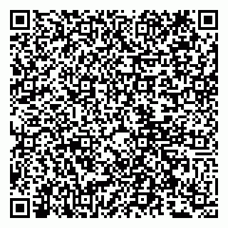 vCard 79807260538