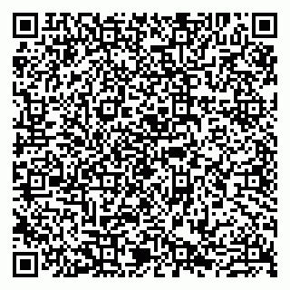 vCard 79807260685