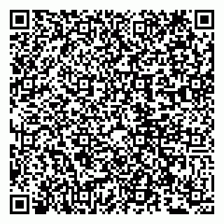 vCard 79807260693
